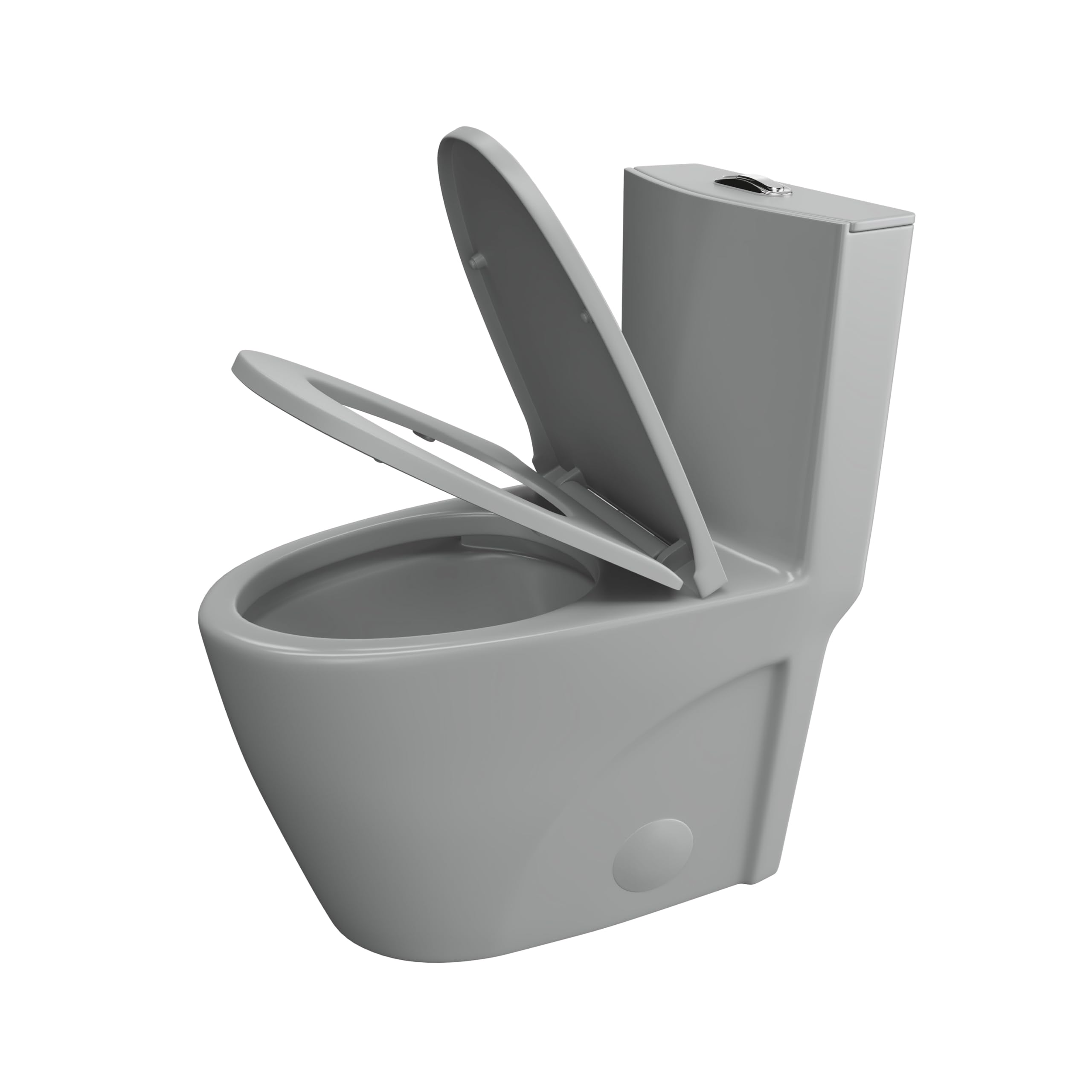 Eridanus Elongated One Piece Toilet - Powerful Siphon Dual Flush 1.1/1.6 GPF, 12