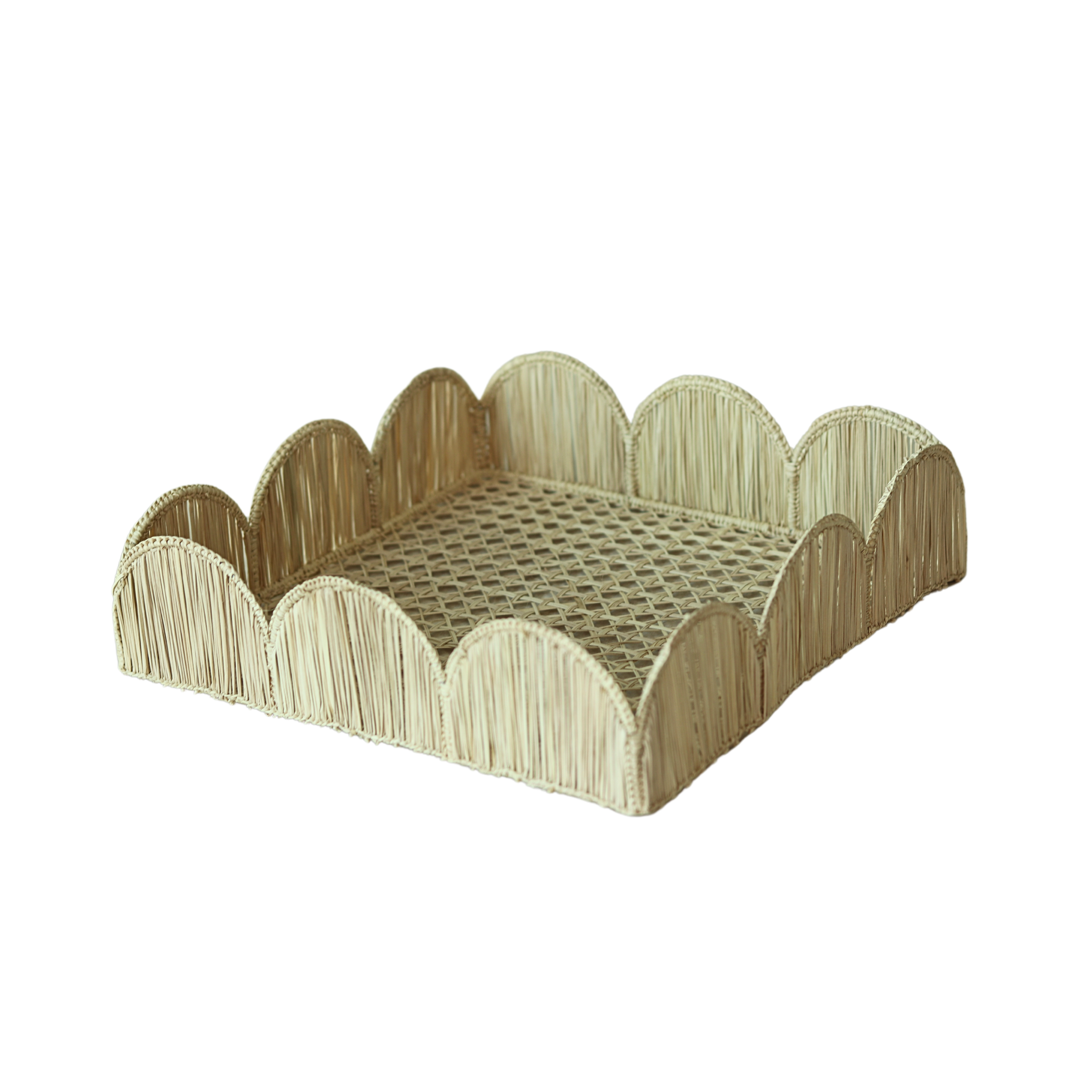 Natural Scallop Square Tray - Elegant Serving Platter for Appetizers, Desserts & Home Decor | Perfect for Parties, Weddings & Coastal-Themed Dining