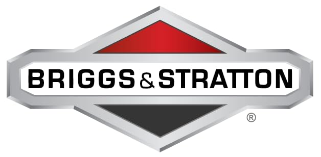 Briggs & Stratton 31R977-0029-G1 OEM Engine for Lawn Mowers & Garden Equipment