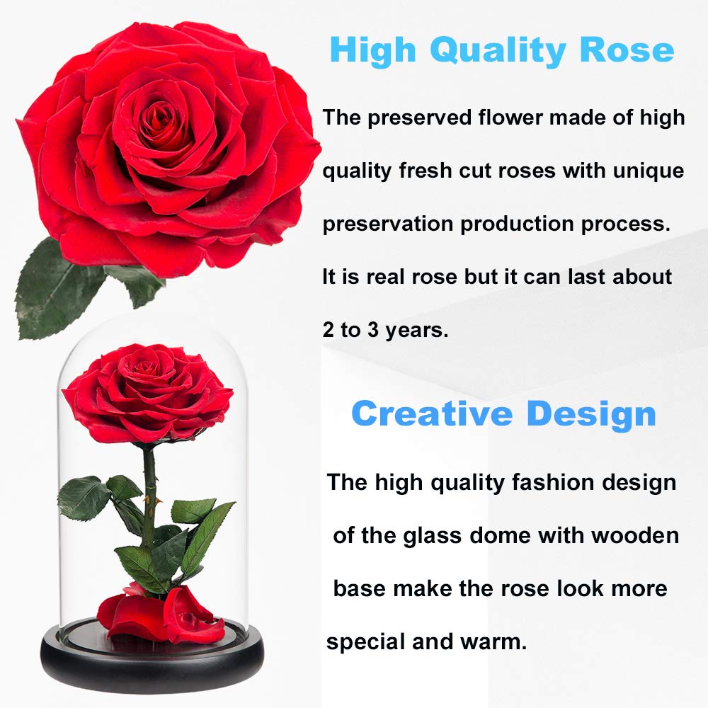 Handmade Real Preserved Red Roses in Glass Dome - Never Withering Romantic Gift for Her, Mother's Day, Birthday, Anniversary | Perfect for Home Decor, Wedding Centerpieces, and Special Occasion Gifts