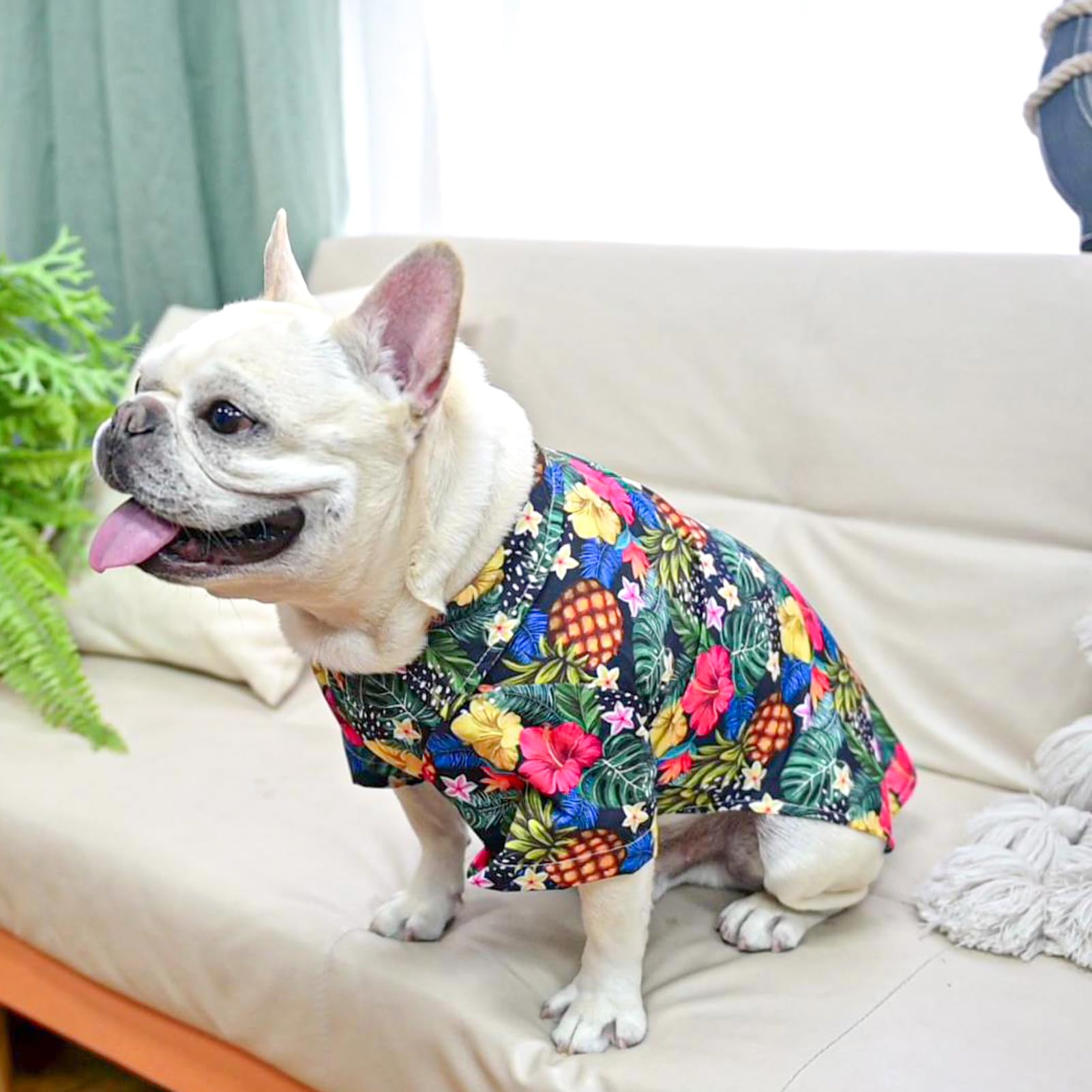 EXPAWLORER Hawaiian Dog Shirt - Breathable Cotton Polo T-Shirt with Floral Fruit Pattern for Small Medium Large Dogs | Summer Pet Outfit for Beach, Vacation & Hot Weather