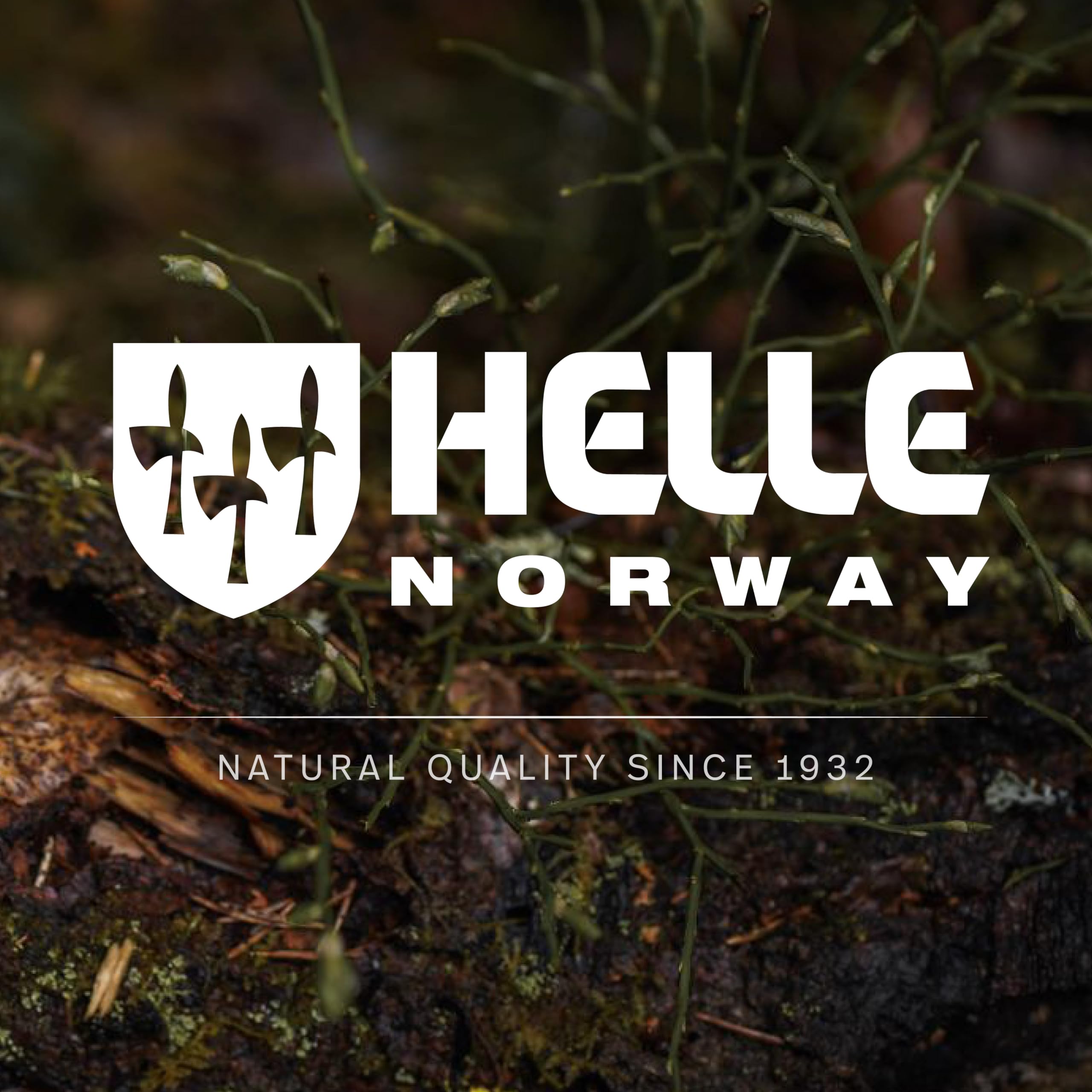 HELLE Utvaer Outdoor Hunting and Camping Knife - Full Tang Stainless Steel Fixed Blade with Sheath, Curly Birch and Vulcan Fiber Handle by Jesper Voxnaes - Perfect for Bushcraft, Survival, and Wilderness Adventures