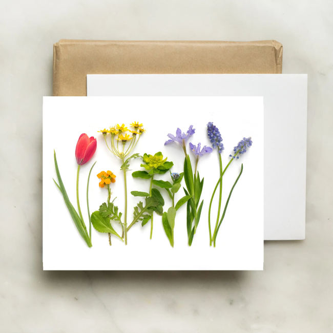 Bottle Branch Botanical Card - Spring Rainbow with Red Tulip Floral Greeting Card for Birthdays, Anniversaries & Special Occasions