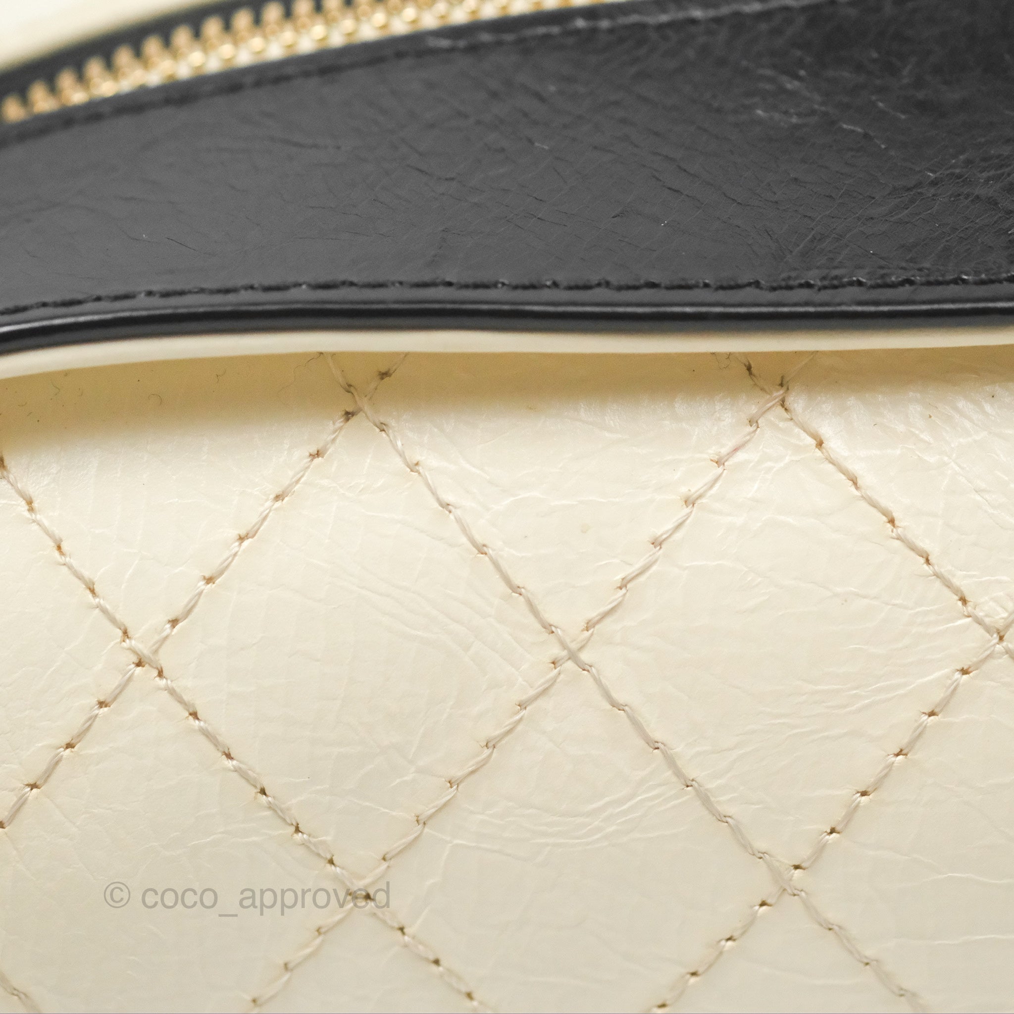 Chanel Camera Case Bag in Black & White Calfskin with Gold Hardware - Perfect for Everyday Luxury & Travel Accessories