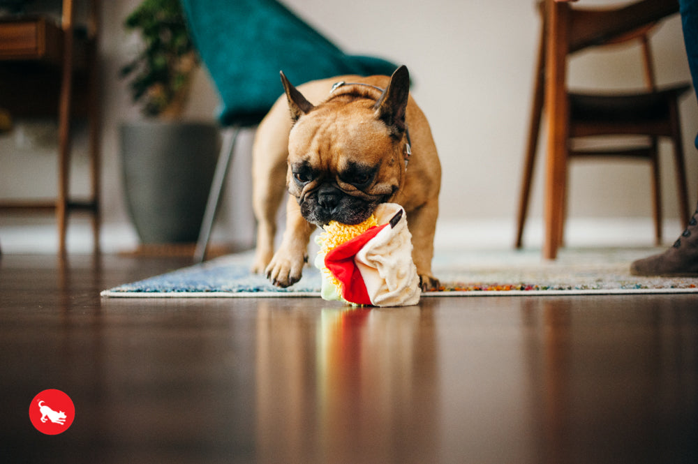El Taco Dog Plush Toy - International Classic™ Chew-Resistant Squeaky Stuffed Animal for Pets | Perfect for Playtime, Training & Cuddling | Pet P.L.A.Y.
