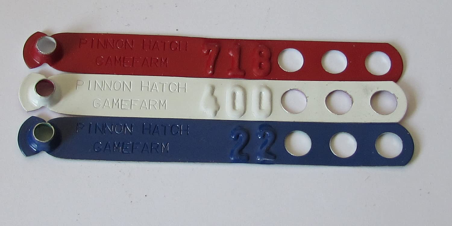 Custom Stamped Aluminum Poultry Leg Bands for Chickens, Ducks, Pheasants & Peacocks - 900 Light Blue Leg Rings for Bird Identification | Farm, Hatchery & Aviary Use