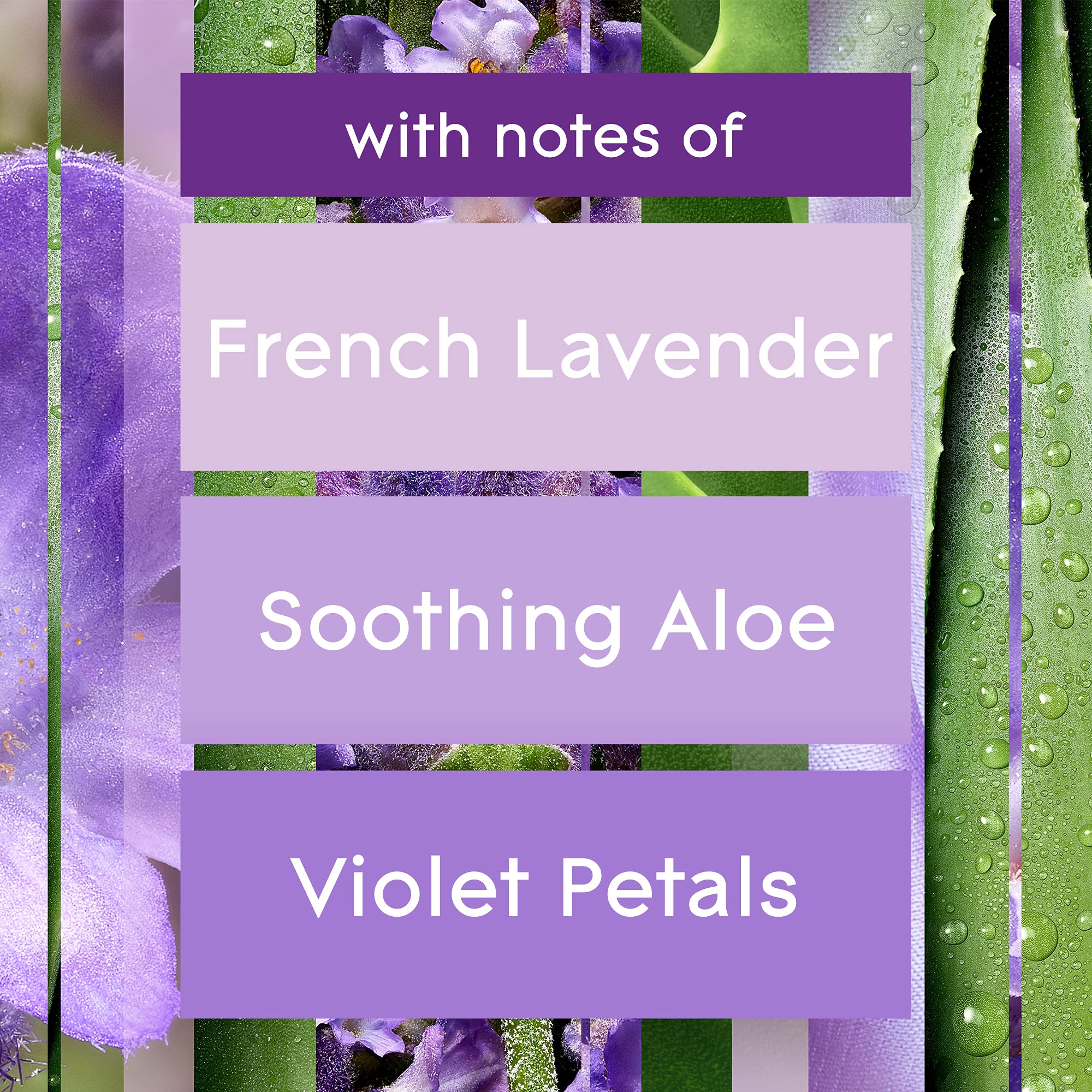 Glade Automatic Spray Refill - Lavender & Aloe Scented Air Freshener for Home, Bathroom & Office - 6.2 Oz - Long-Lasting Fragrance for Relaxation & Stress Relief