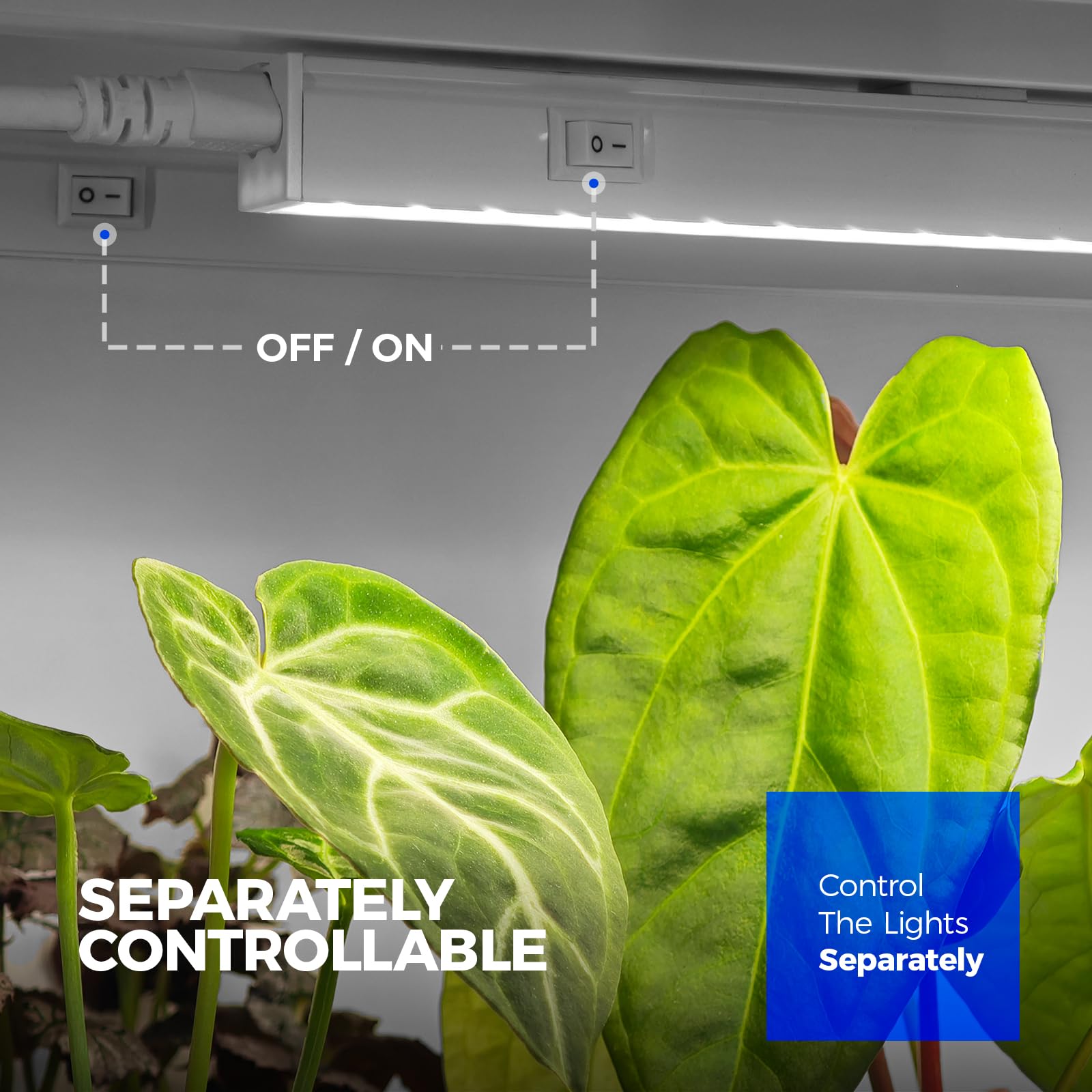 Barrina T5 LED Grow Lights 5000K Full Spectrum - 2ft 80W (8 Pack) for Indoor Plants, Hydroponics, Greenhouse & Seed Starting - Energy Efficient Plant Growing Bulbs Equivalent to 500W - Plug & Play Installation