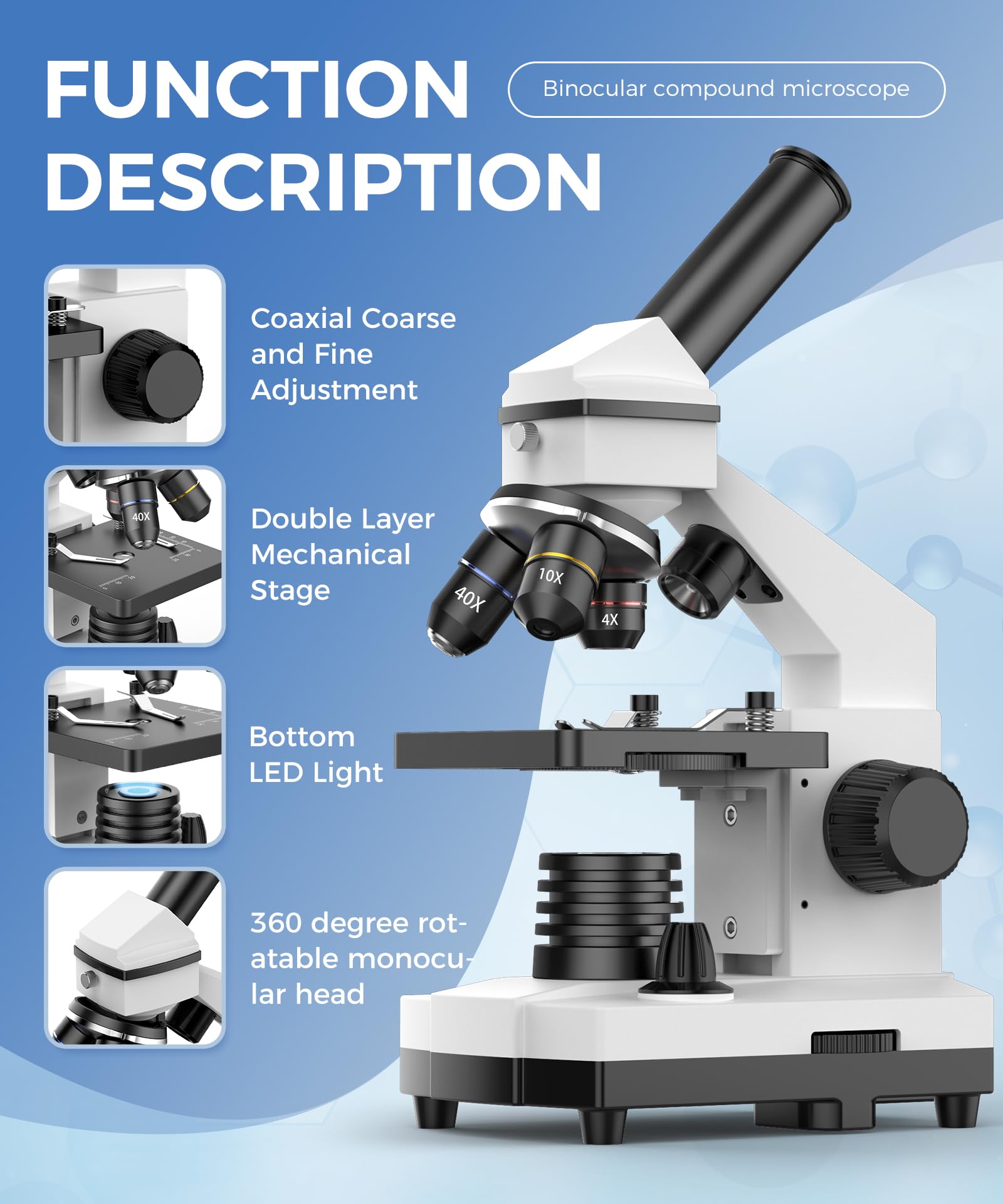 100X-2000X Magnification Microscope for Kids, Students & Adults - Professional Biological Compound Microscope with LED Illumination for School, Lab & Home Science Education | Includes Prepared Slides & Smartphone Adapter (Perfect for Classroom Experiments, Homeschool Learning & Scientific Discovery)