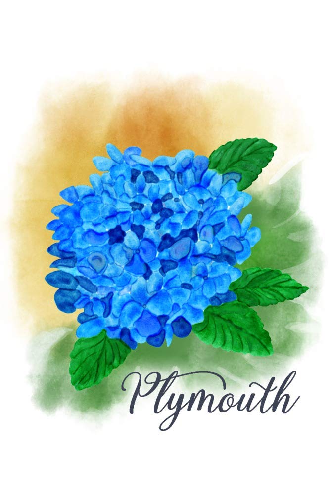 Plymouth Massachusetts Hydrangea Watercolor Print - 24x36 Gallery Quality Metal Wall Art, Aluminum Home Decor for Living Room, Bedroom, or Office
