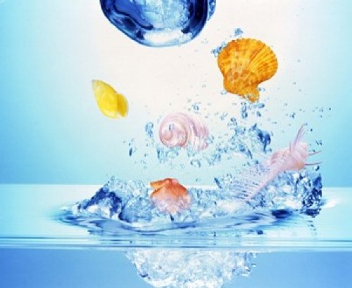 Multicolored Seashells & Water Bubbles in Churning Ocean Waves Poster Print by Panoramic Images (24 x 20) - Perfect for Beach House Decor & Coastal Living Spaces
