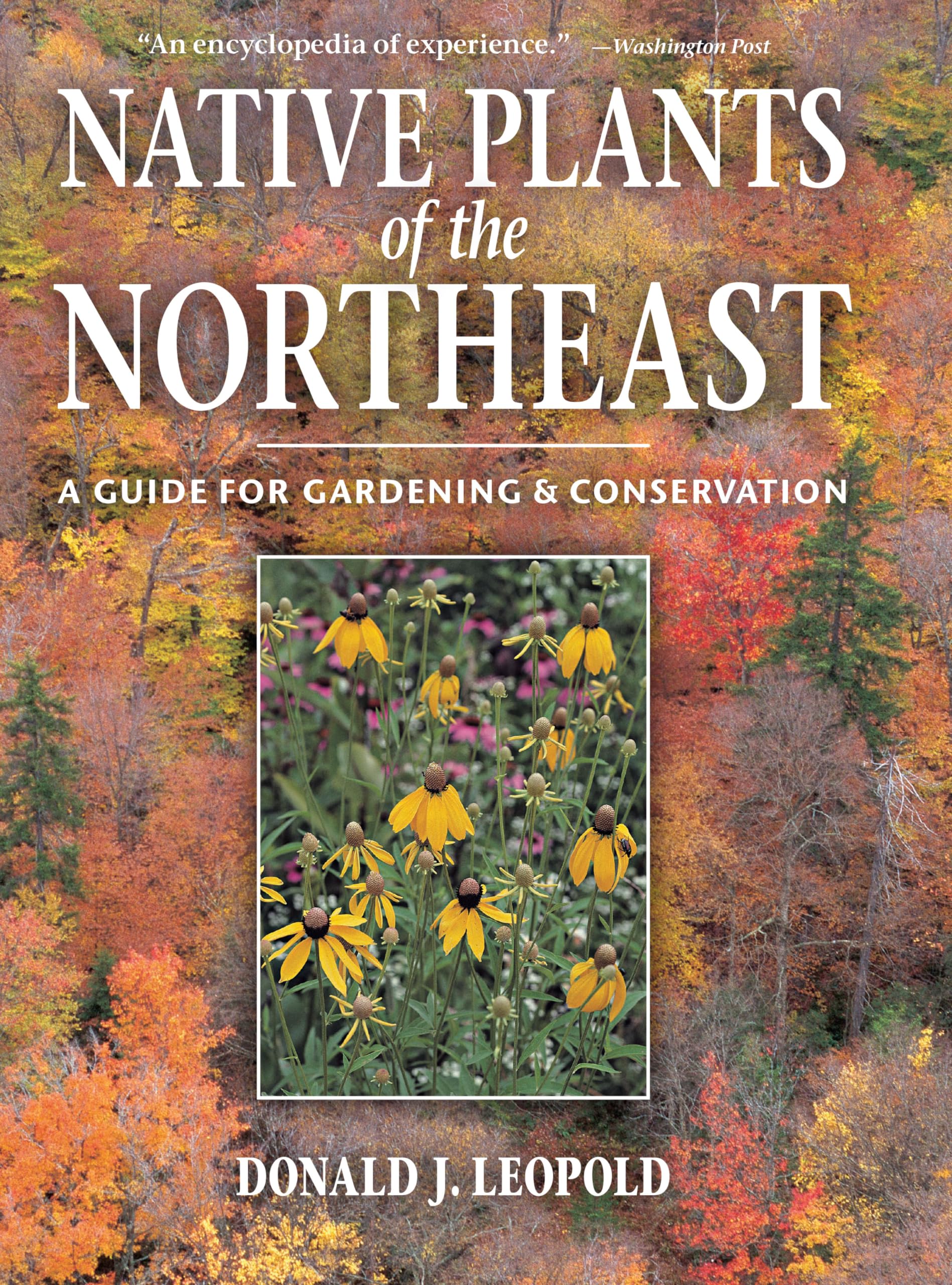 Northeast Native Plants Guide: Best Gardening & Conservation Tips for Home Landscaping & Wildlife Habitats
