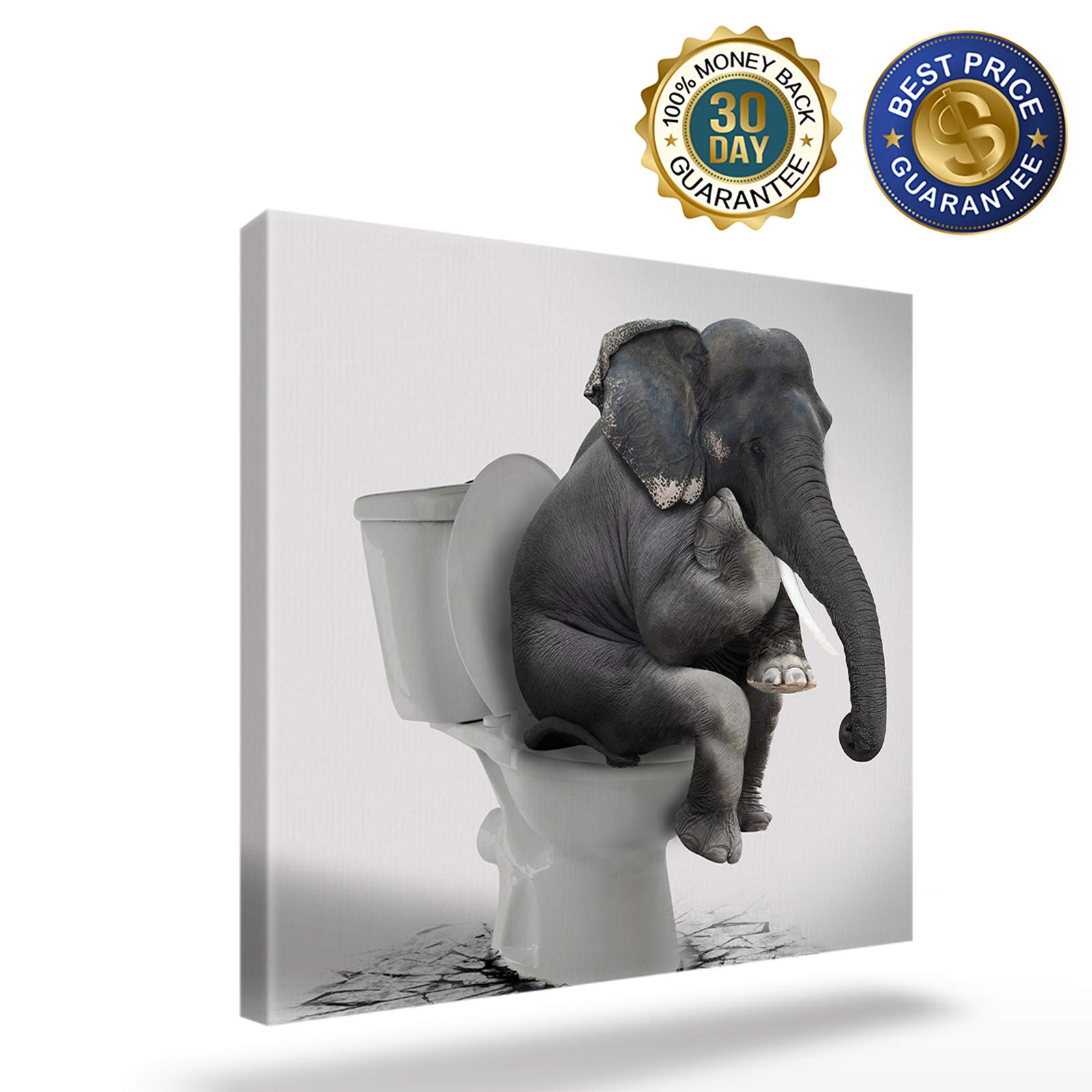 Elephant Sitting on Toilet Canvas Print - 12x12 Inch Framed Wall Art for Bathroom, Living Room, Bedroom & Kitchen Decor - Funny Animal Painting Ready to Hang - Perfect for Home, Office & Gift Giving
