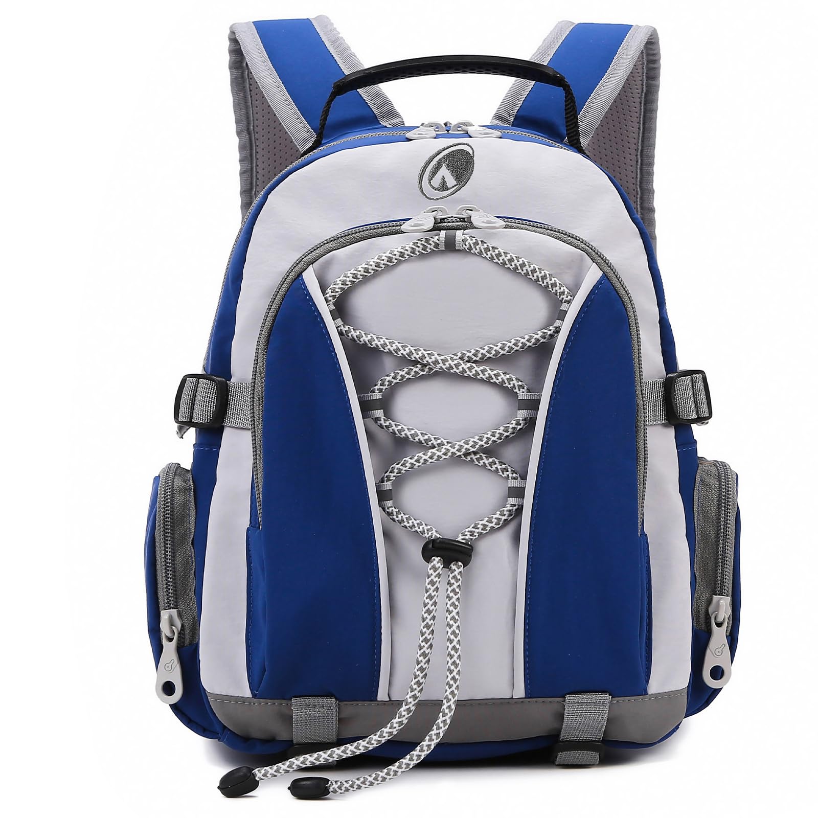 10L Bluey Toddler Backpack for Boys & Girls - Kids School Backpack for Preschool & Kindergarten - Cute Mini Travel Daycare Bookbag - Perfect for School, Travel & Daily Adventures