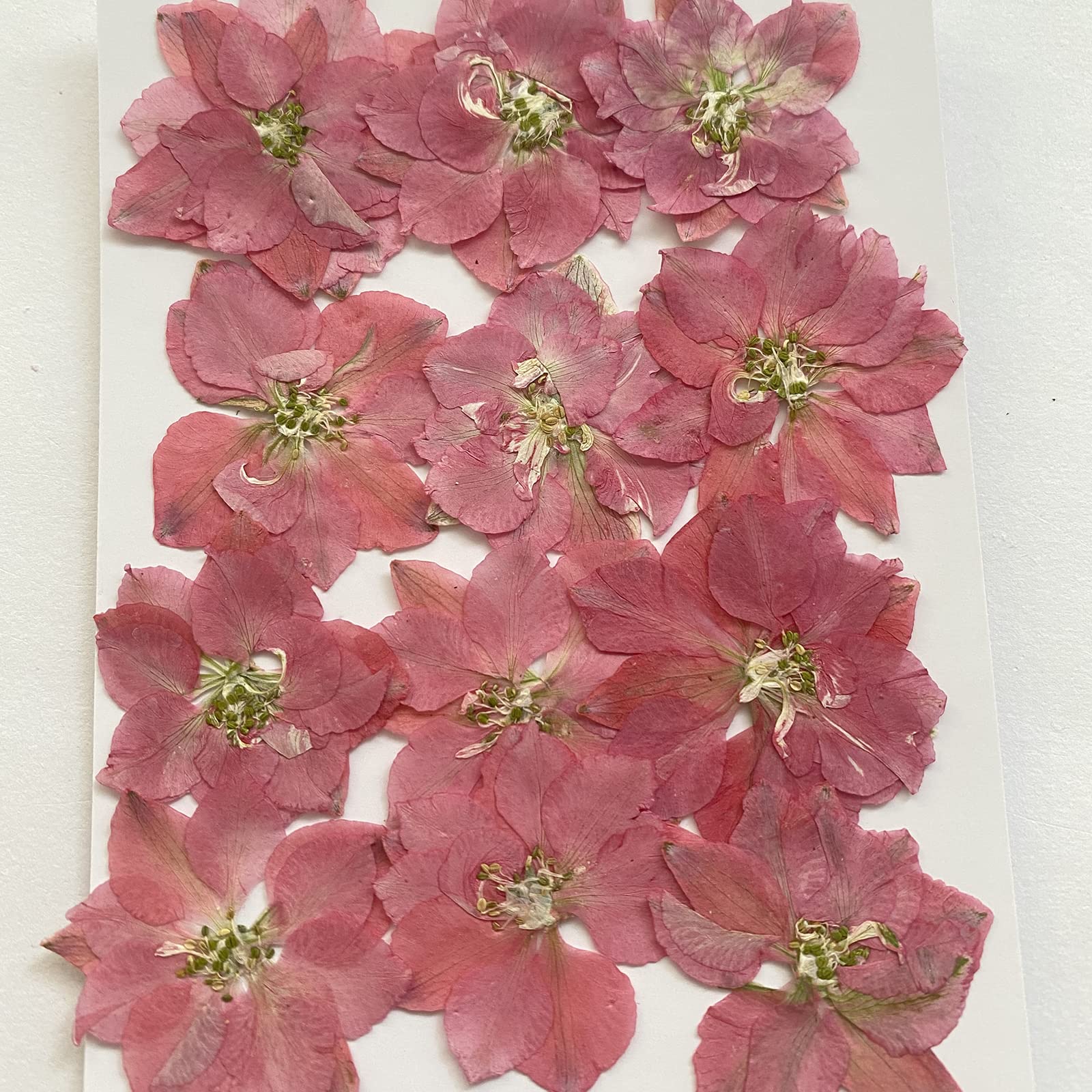 YUNZHI 12-Pack Natural Pink Delphinium Dried Pressed Flowers for DIY Crafts, Scrapbooking, Candle Making, Resin Jewelry & Home Decor - Perfect for Wedding Bouquets, Gift Wrapping & Boho Decorations