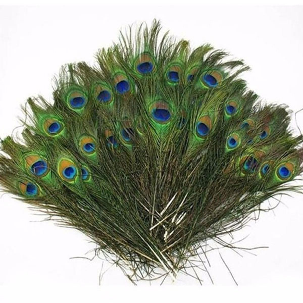 10 Pcs Natural Peacock Feathers with Eyes - Long Tail Feathers for DIY Crafts, Home Decor, Wedding Centerpieces & Bohemian Room Decoration