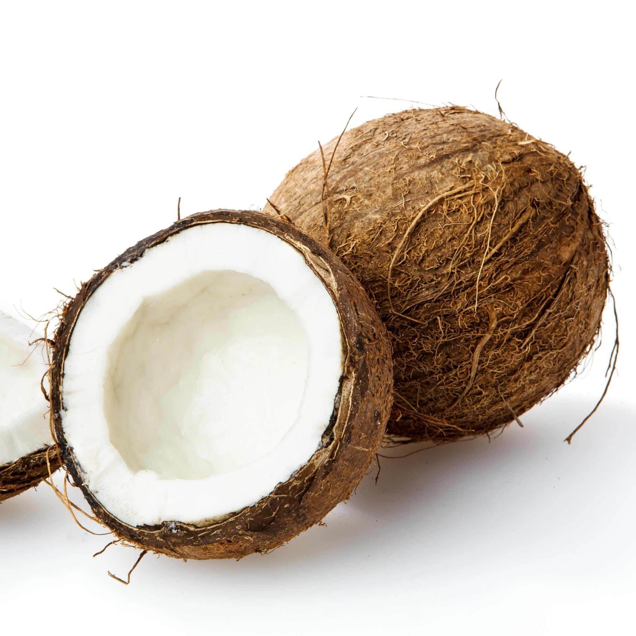Premium Coconut Paradise Fragrance Oil - 100% Natural Aromatherapy Essential Oil for Diffusers, Candles & Soap Making - Perfect for Relaxation, Spa & Home Scenting