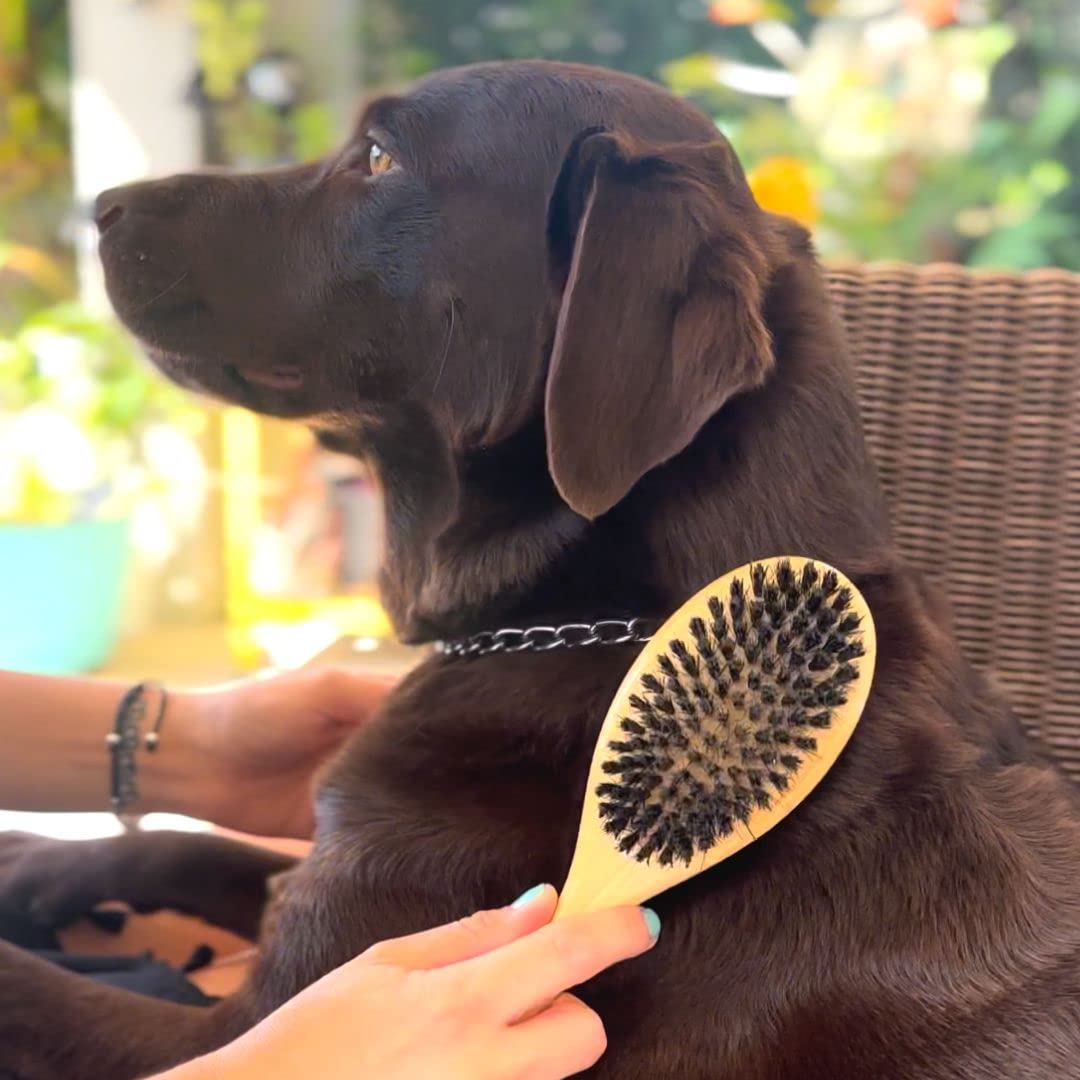 Premium Double-Sided Pet Grooming Brush - Bamboo Handle with Ball Pins & Soft Nylon Bristles for Dogs & Cats - Effective Shedding Control & Hair Removal - Perfect for Daily Brushing, Detangling & Coat Maintenance (Large Size)