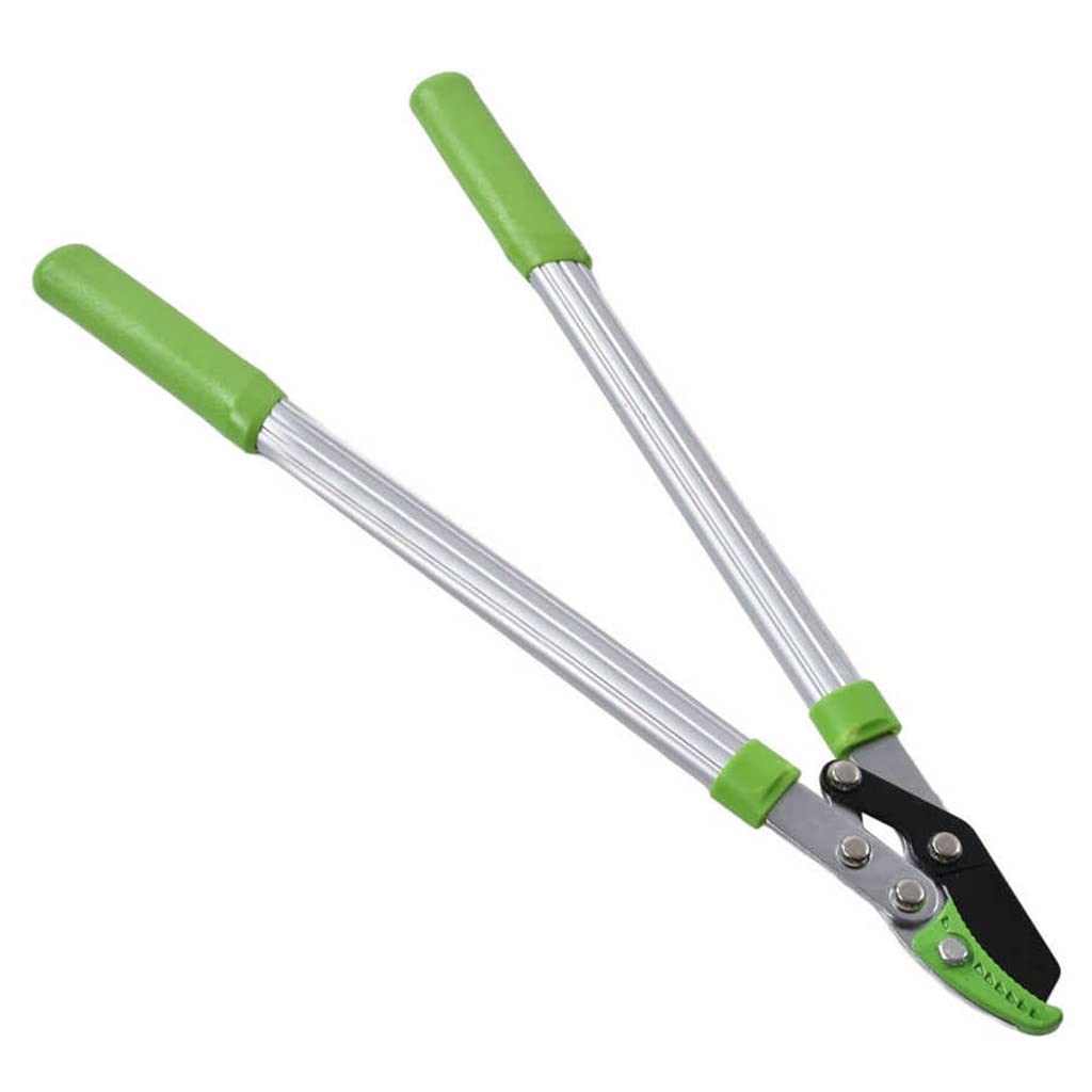 Durable Gardening Scissors - Professional Branch Pruning Shears for Flowers, Plants & Garden Trimming | Perfect for Home Gardening, Landscaping & Outdoor Use