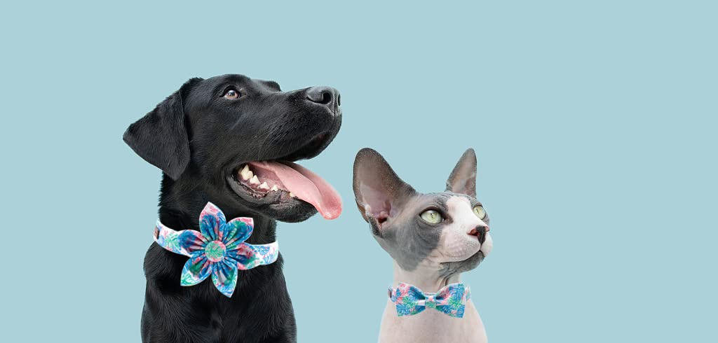 Stylish Floral Adjustable Dog Collar for Small Medium Large Dogs - Perfect for Summer Walks & Outdoor Adventures