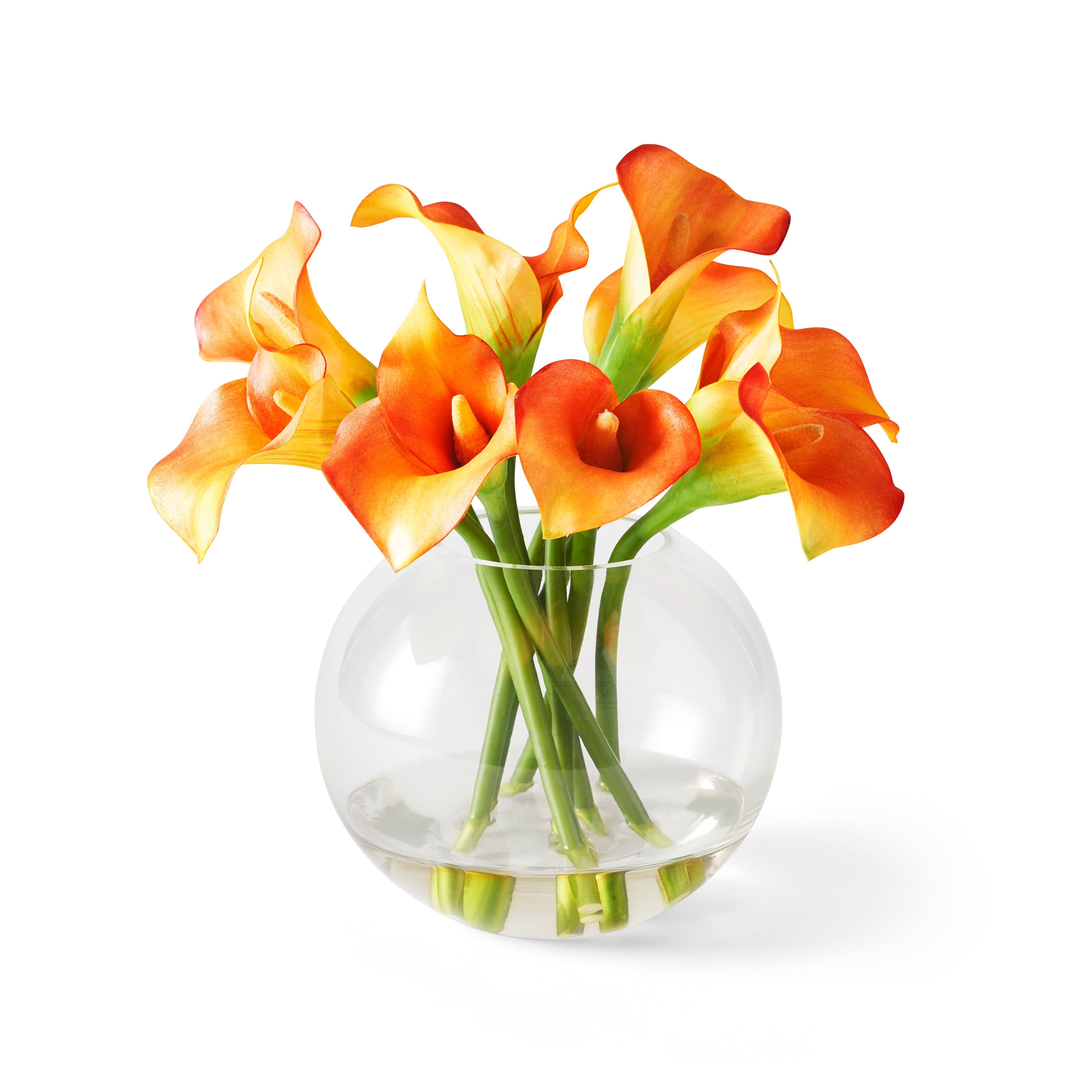 Premium Calla Lilies in Elegant Glass Vase - Perfect for Weddings, Home Decor & Gift Giving