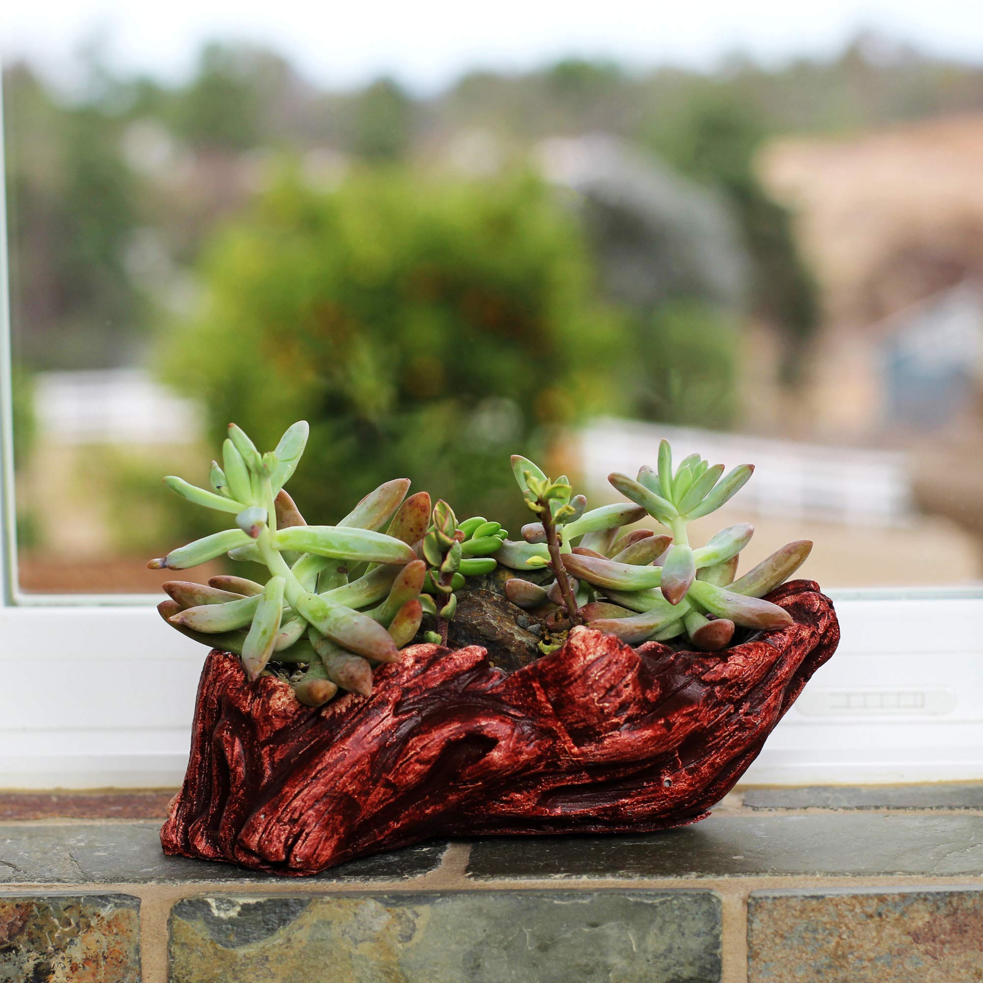 Ceramic Wood Planter Pot for Indoor Plants - Unique Log Design Succulent & Flower Pot (Redwood Ridge) - Perfect for Home Decor, Office Desk, and Gift Ideas
