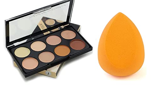 Sloane 8-Shade Highlighter & Contour Concealer Palette with Beauty Blender Sponge Puff - Multicolor Makeup Kit for Face Contouring, Highlighting & Perfecting - Ideal for Professional Makeup Artists & Daily Beauty Routine