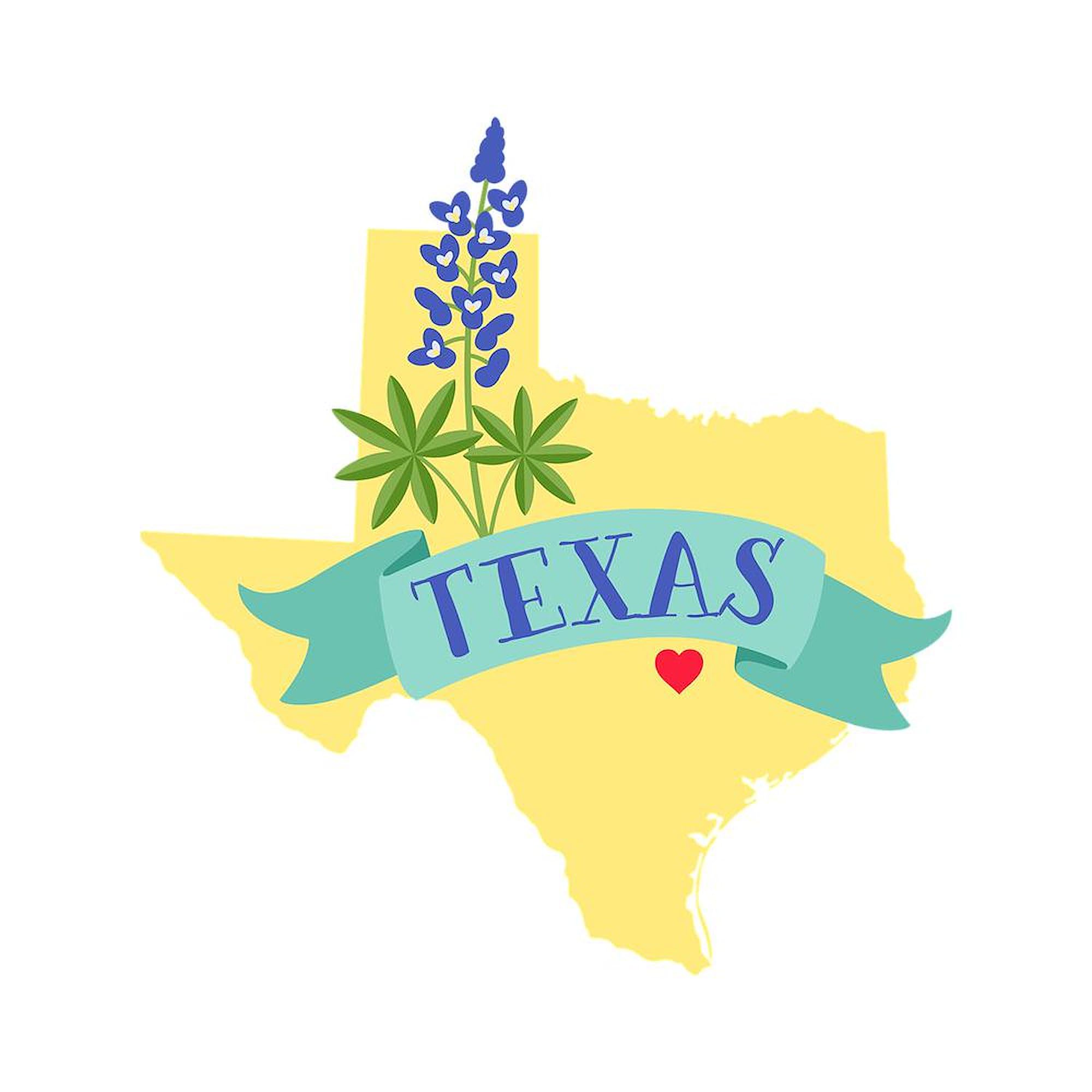 Texas State Outline Bluebonnet Flower Travel Mug - 20 oz Insulated Stainless Steel Coffee Tumbler for Hot & Cold Drinks - Perfect for Commuting, Camping & Office Use