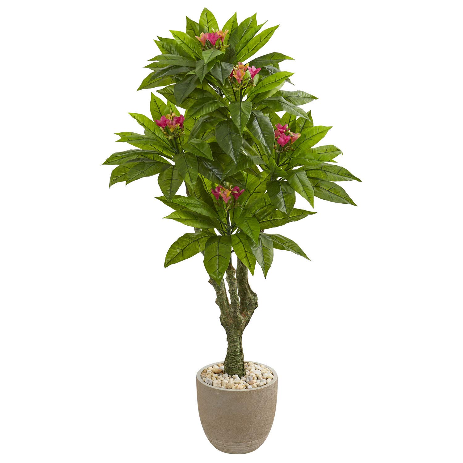 Nearly Natural 5ft UV Resistant Artificial Plumeria Tree in Decorative Planter - Perfect for Indoor & Outdoor Home Decor, Office Spaces, Patios, and Garden Landscaping