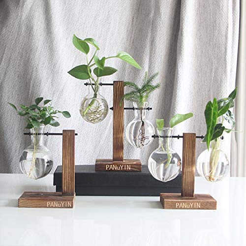 Modern Double Balls Glass Desk Vase - Hydroponic Plant Terrarium Container with Wooden Stand (Double Side Ladder) - Perfect for Office Decor, Home Plant Display & Gift Ideas