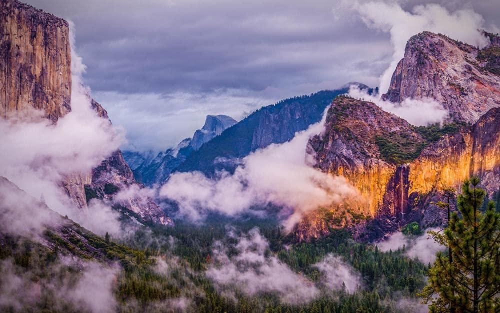 500-Piece Yosemite National Park Wooden Jigsaw Puzzle for Adults - Challenging Scenery & Animals Puzzle, DIY Educational Toy Gift (38x52cm) - Perfect for Family Game Night, Stress Relief & Home Decor