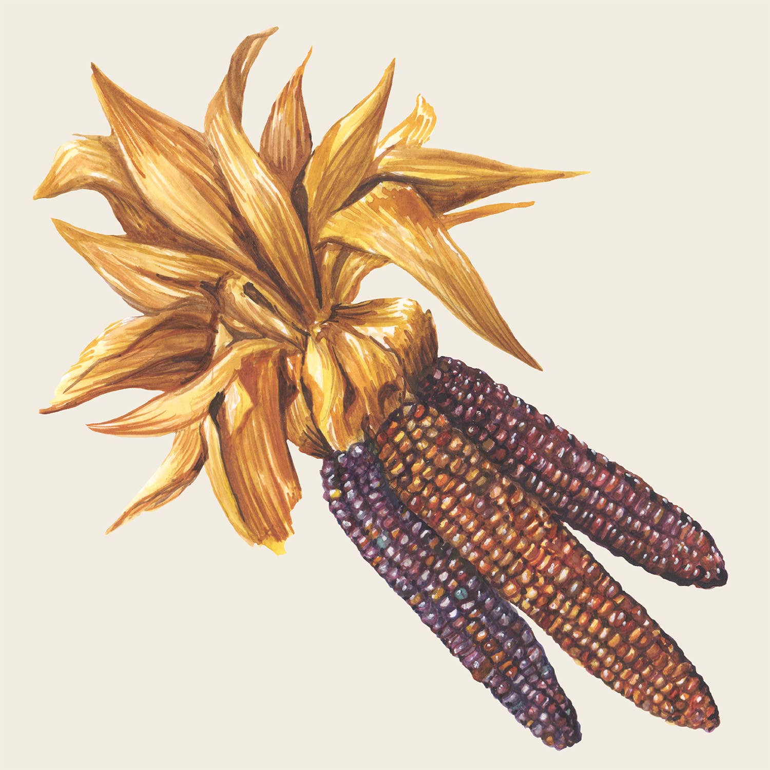 Hester & Cook Maize Cocktail Napkins - Pack of 20 Premium Paper Cocktail Napkins for Parties, Weddings & Home Entertaining