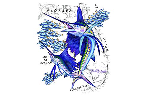 Florida Sailfish