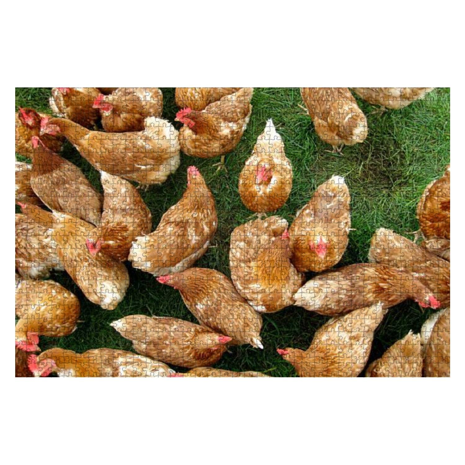500-Piece Free Range Chicken Jigsaw Puzzle for Adults & Kids - Educational Wooden Puzzle Toy, Creative Game & Home Decor - Perfect for Family Bonding, Classroom Learning & Stress Relief