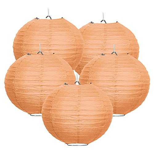 5x Light Orange
