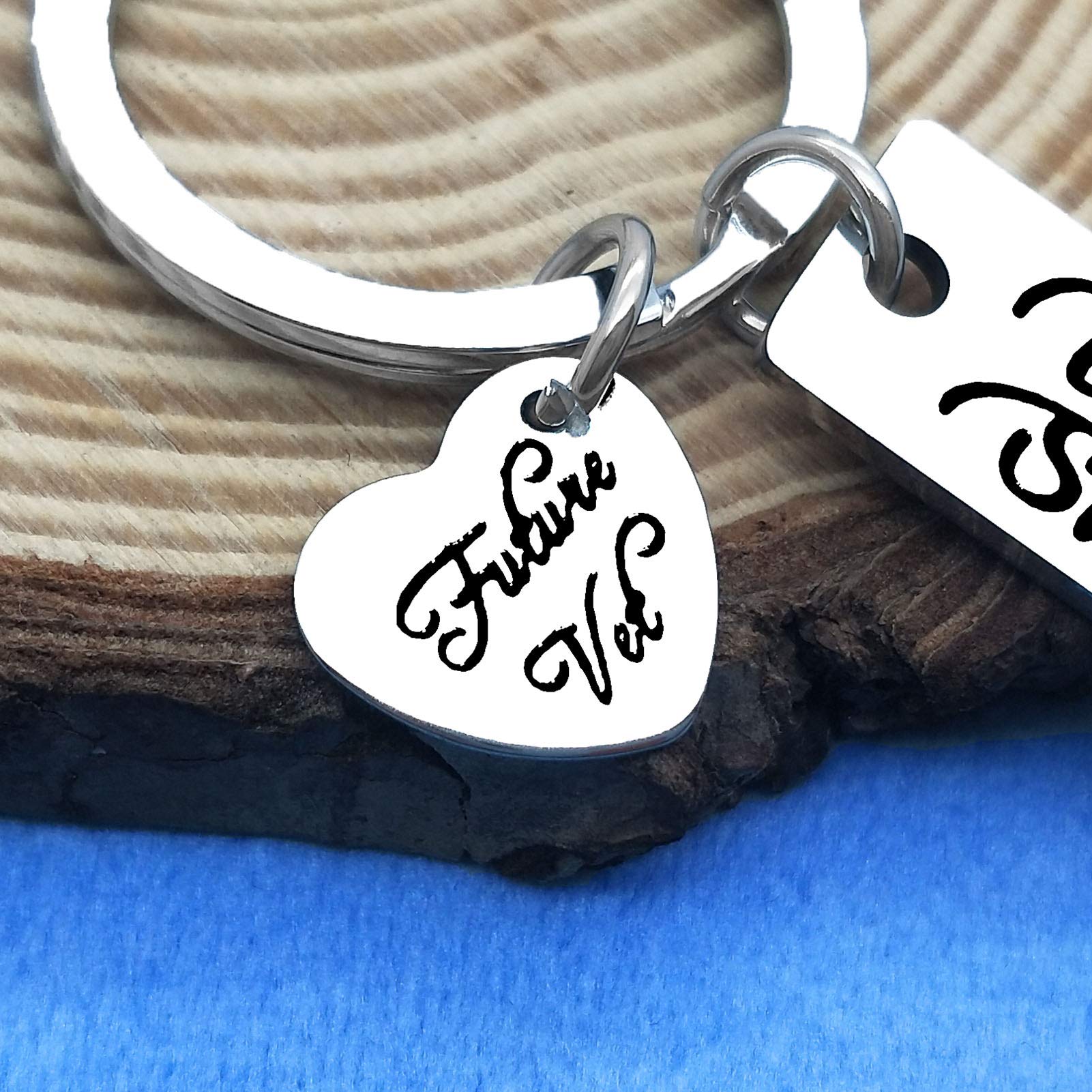 Veterinarian Appreciation Keychain - Vet Tech Gifts for Animal Rescue Workers, Veterinary Graduation Present - Perfect for Clinics, Hospitals & Pet Lovers