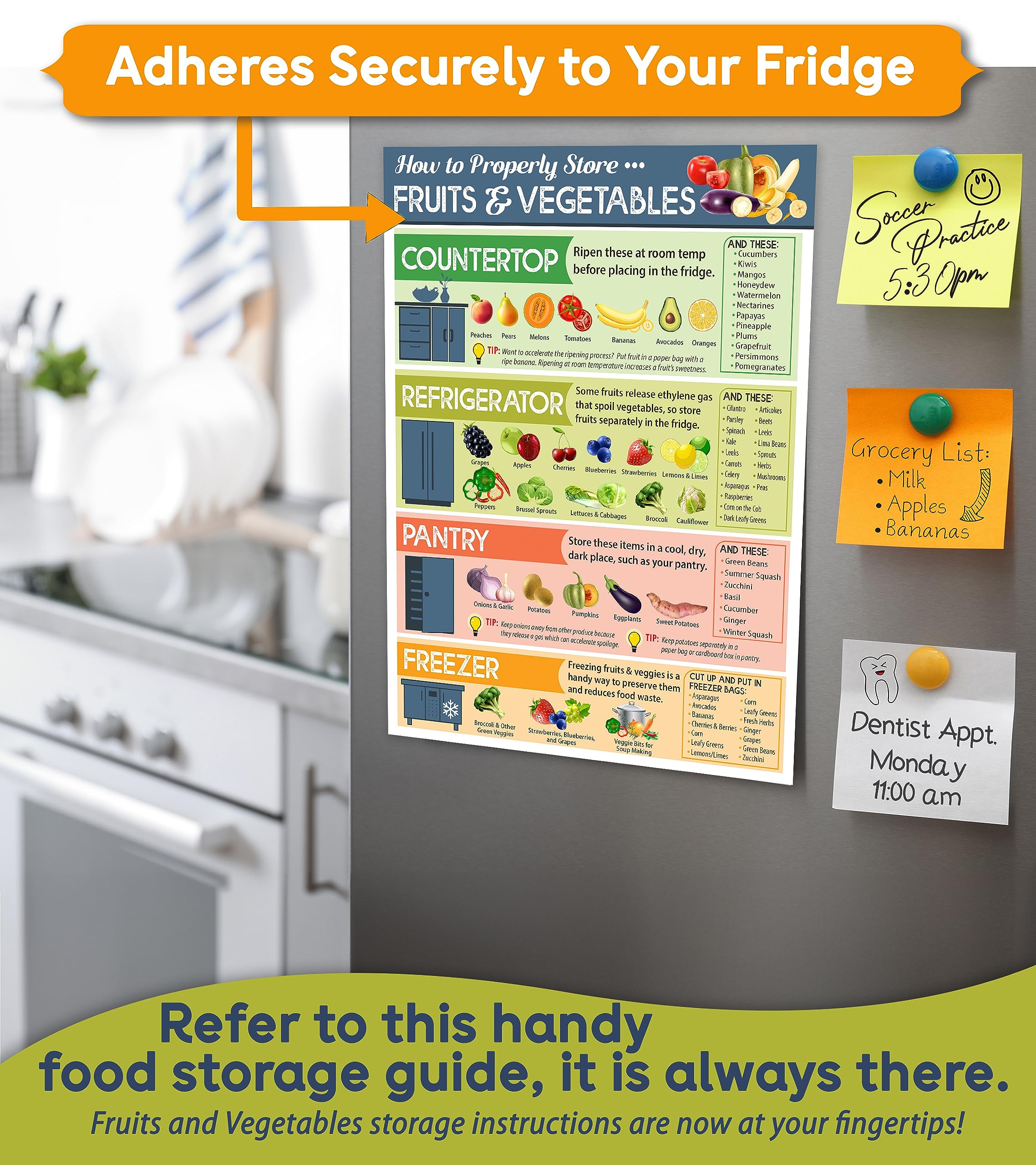 Best Vegetable and Fruit Storage Magnets for Fridge - 6x8 Inch Kitchen Cheat Sheet Magnet Guide - Produce Storage Chart for Freshness | Perfect for Home Kitchens, Grocery Stores & Meal Prep Organization