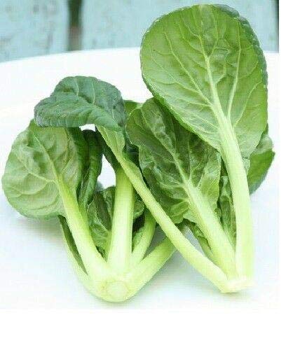 200-4000 Tatsoi Seeds - Green Asian Mustard Spinach with Thick Tender Leaves & High Vitamin Content | Perfect for Home Gardening, Asian Cuisine & Healthy Salads