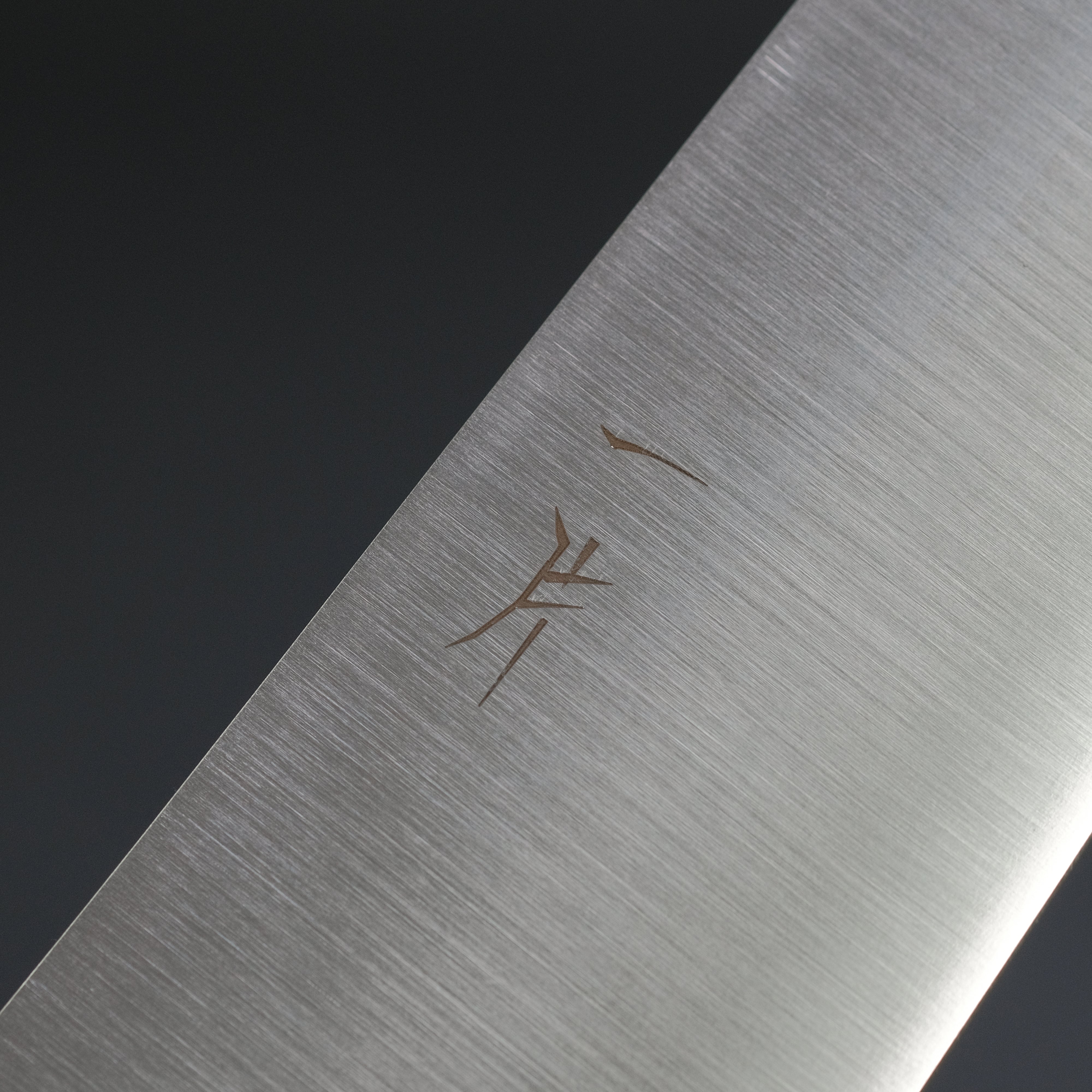 Hitohira FJ VG-10 Gyuto Japanese Chef Knife 240mm with Taihei Ho Wood Handle - Professional Kitchen Tool for Sushi, Meat Cutting & Food Preparation