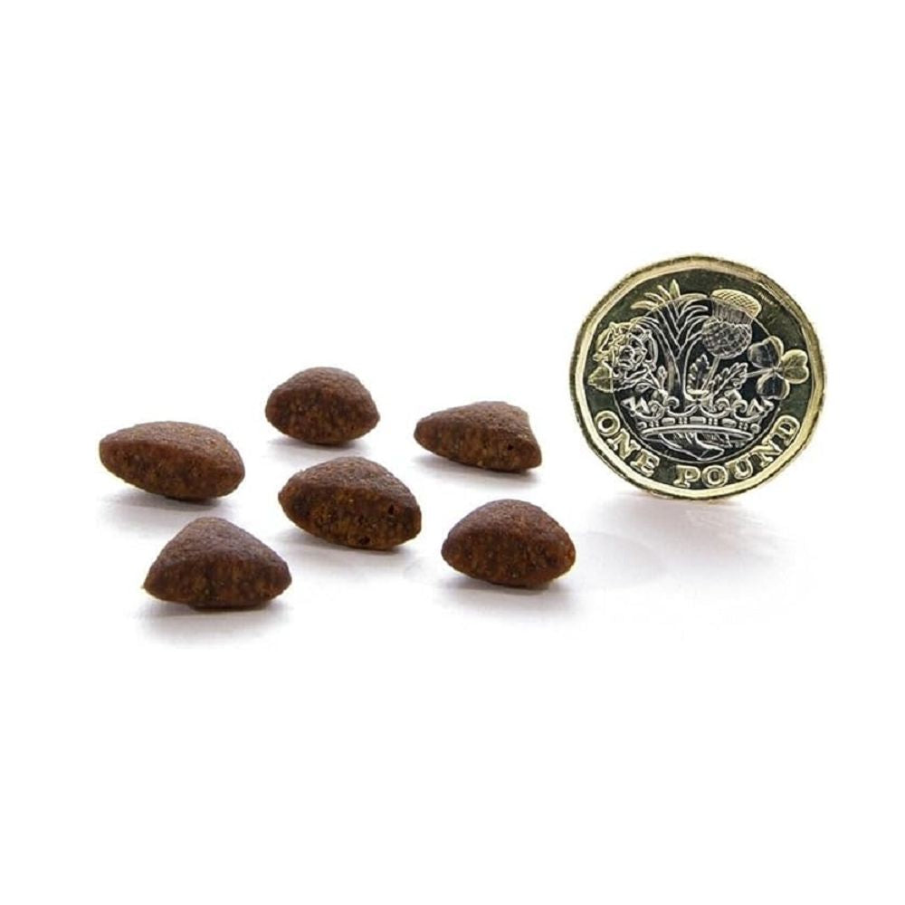 Grain-Free Country Game Cat Dry Food - High Protein, Natural Ingredients for Adult Cats - Perfect for Indoor & Outdoor Cats, Weight Management & Sensitive Stomachs