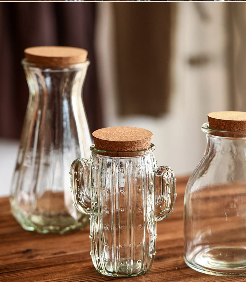 123Arts Glass Relief Cactus Candy Jar - Airtight Snack Storage Container with Seal Lid for Kitchen, Party & Home Decor | Candy Dish, Food Jar, Treat Holder for Desserts, Nuts, Cookies