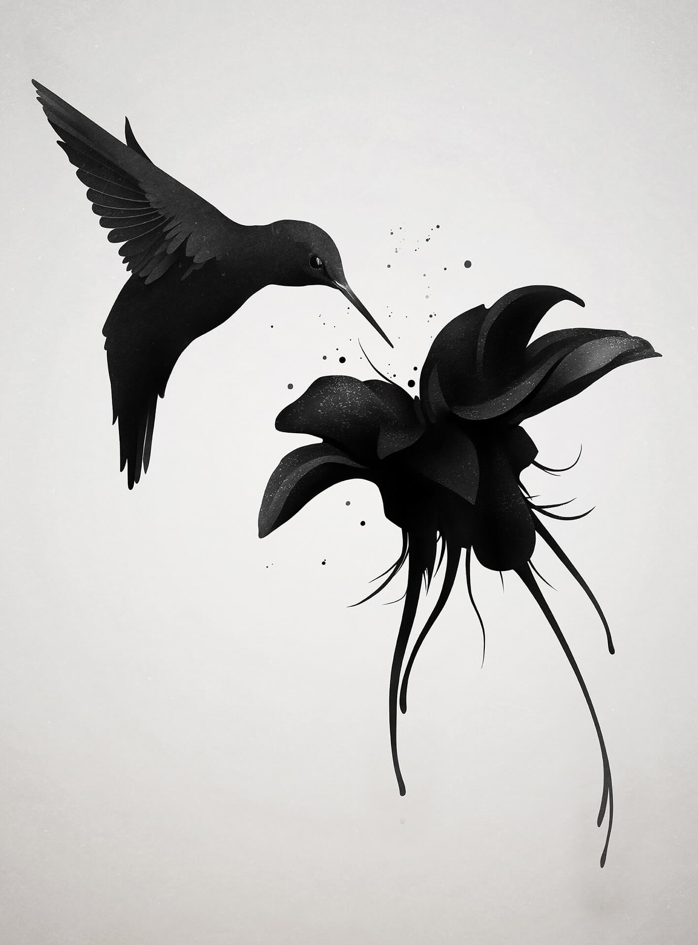 Humming Bird Wall Mural 5467 - Vibrant Floral Peel and Stick Wallpaper for Home Decor | Perfect for Living Room, Bedroom & Nursery Accent Walls