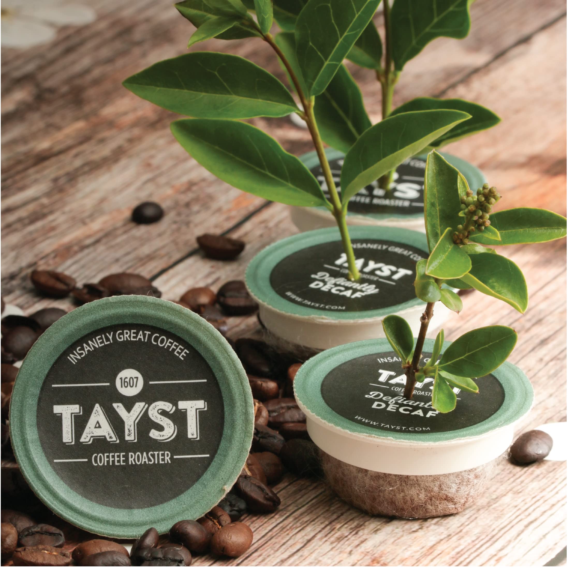 Tayst Coffee Pods - Defiantly Decaf Dark Roast K-Cups | Compatible with Keurig Coffee Makers | Sustainable Single-Serve Coffee Pods (30 Count) | Perfect for Home, Office & Morning Brews