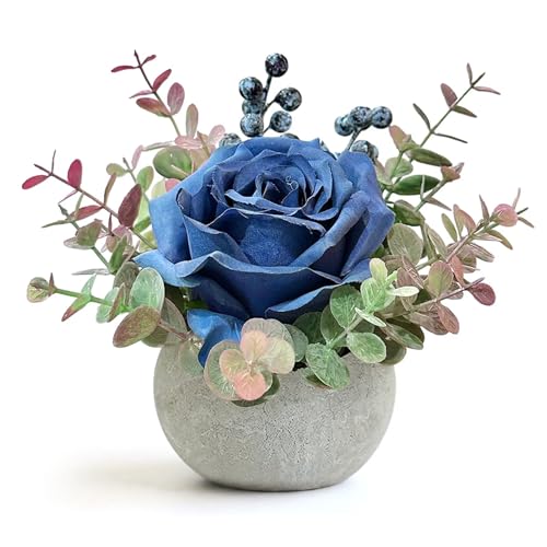 1 Pack Blue Rose