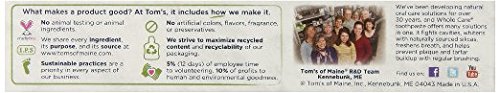 Tom's of Maine Natural Whole Care Fluoride Toothpaste - Cinnamon Clove Flavor, 3 Pack | Fresh Breath & Cavity Protection for Daily Oral Care
