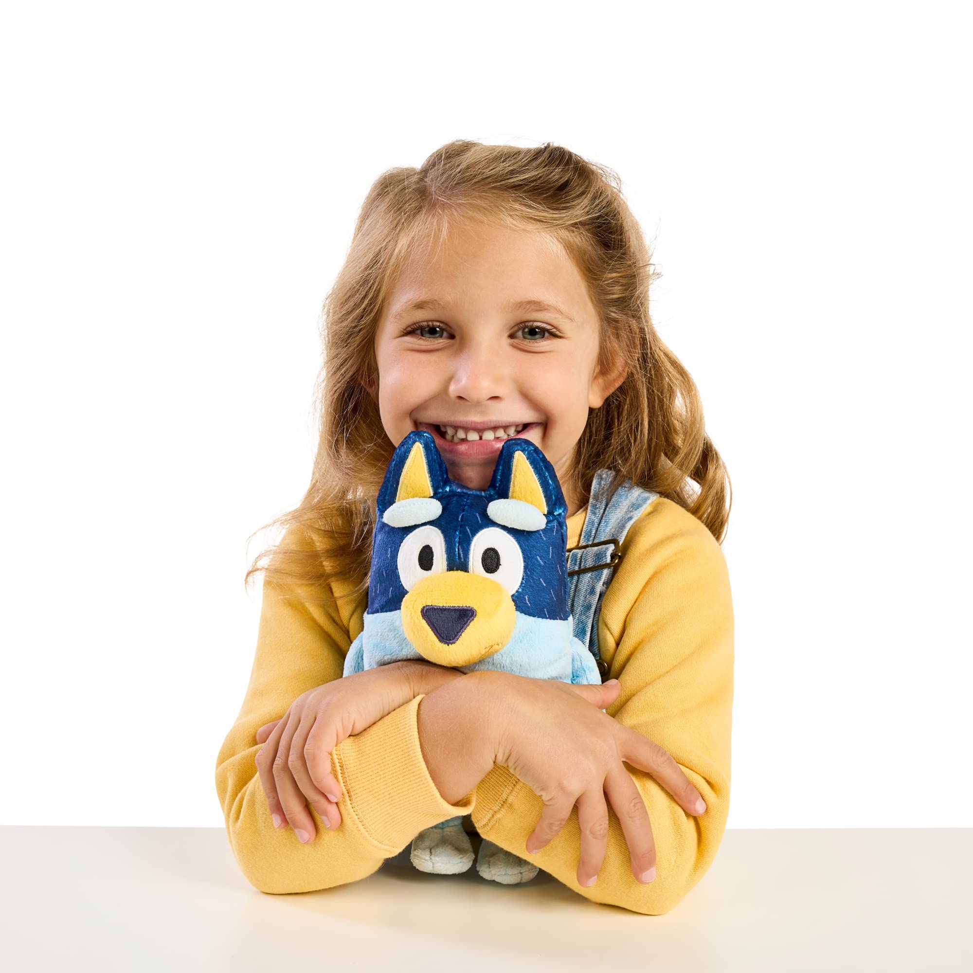 Bluey Dad Bandit 9