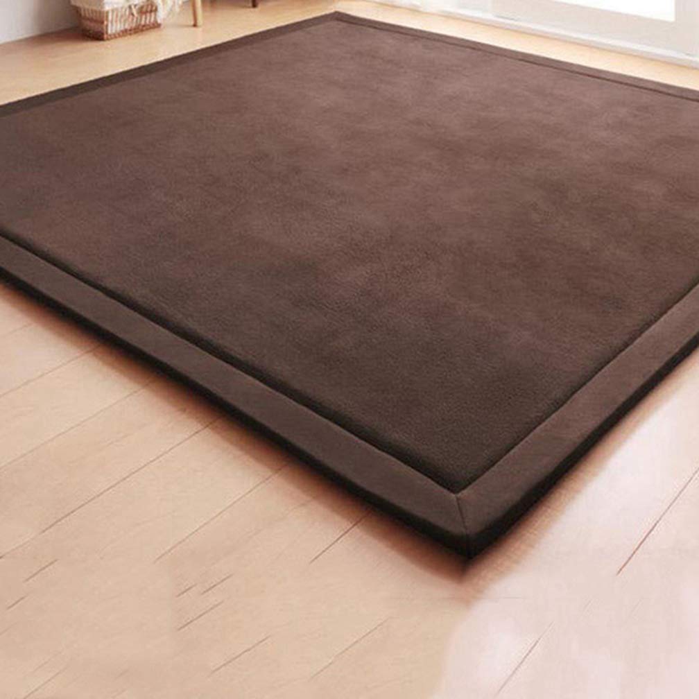 Premium Soft Coral Fleece Area Rug - Non-Slip Rectangular Carpet for Living Room, Bedroom & Nursery - 3'x9' Modern Indoor/Outdoor Runner - Perfect for Kids Play Area, Home Decor & High-Traffic Spaces