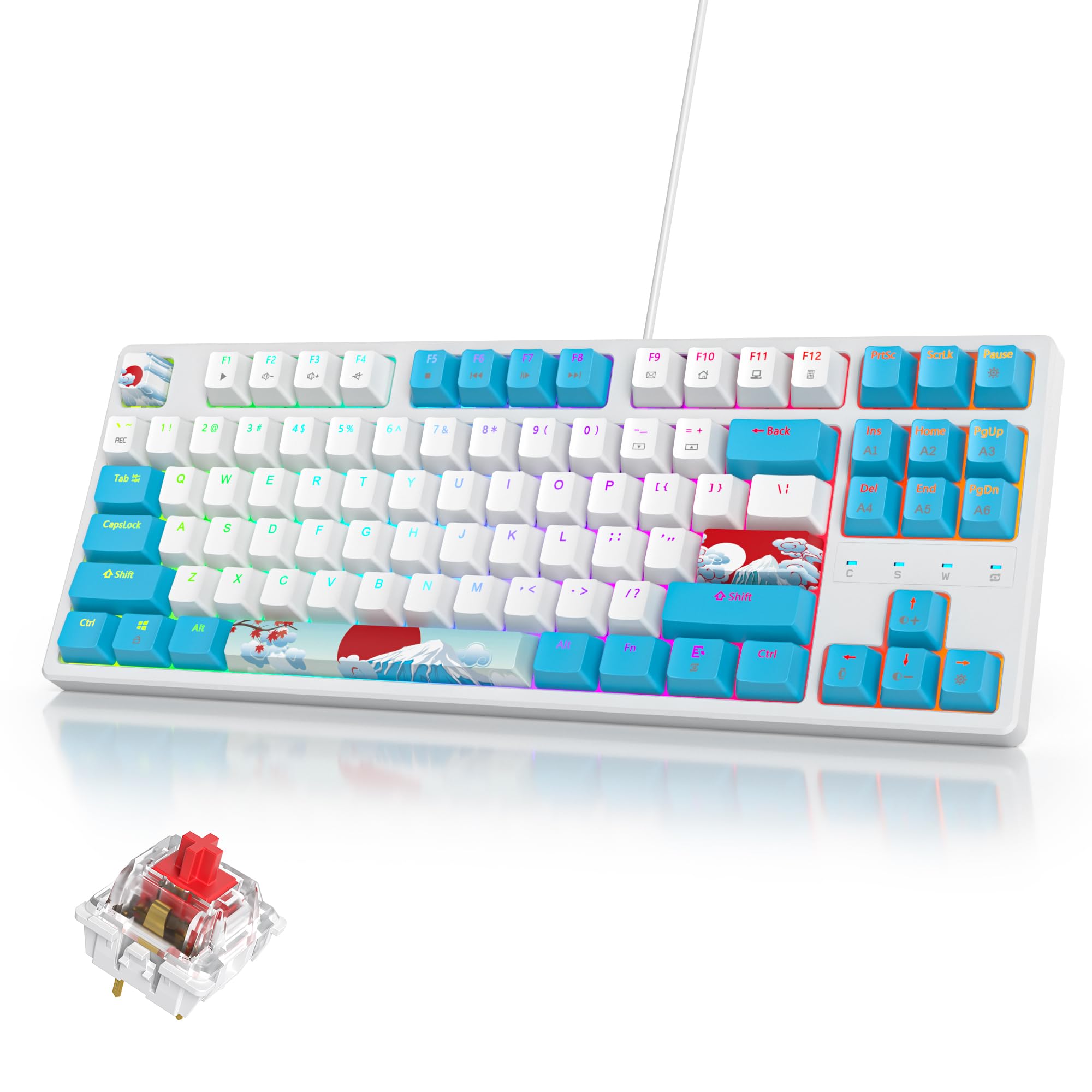 SOLIDEE 87-Key RGB Mechanical Gaming Keyboard - Compact, Portable for PC/Mac - Perfect for Office & Gaming
