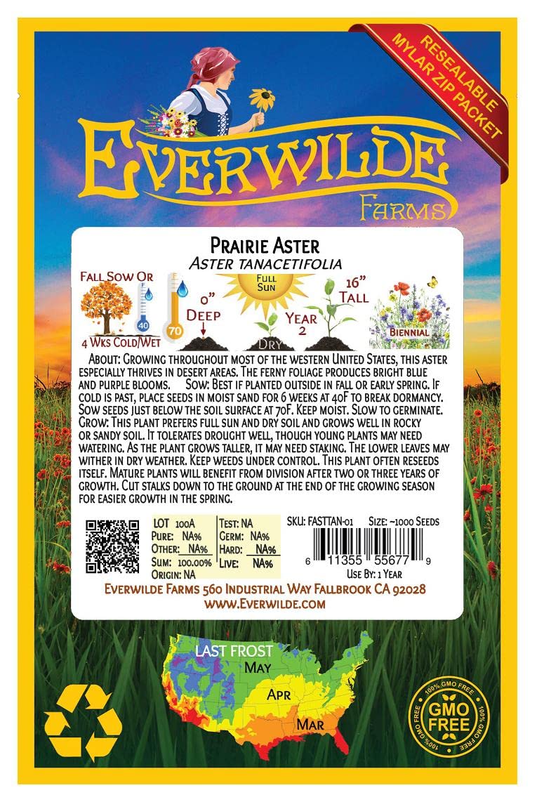Everwilde Farms 1000 Prairie Aster Native Wildflower Seeds - Gold Vault Jumbo Seed Packet for Garden Planting & Landscaping