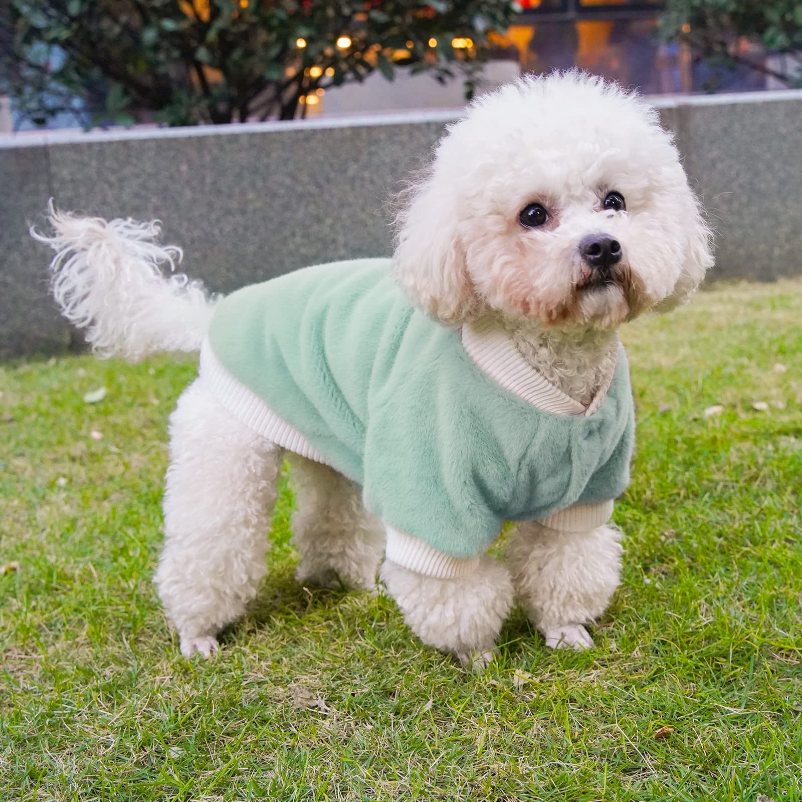 Demigreat Winter Warm Plush Small Dog Sweater Coat with Buttons - Soft Puppy Clothes for Cold Weather - Cozy Outfit for Small Dogs & Cats (Boys & Girls) - Perfect for Outdoor Walks, Indoor Lounging & Holiday Photos